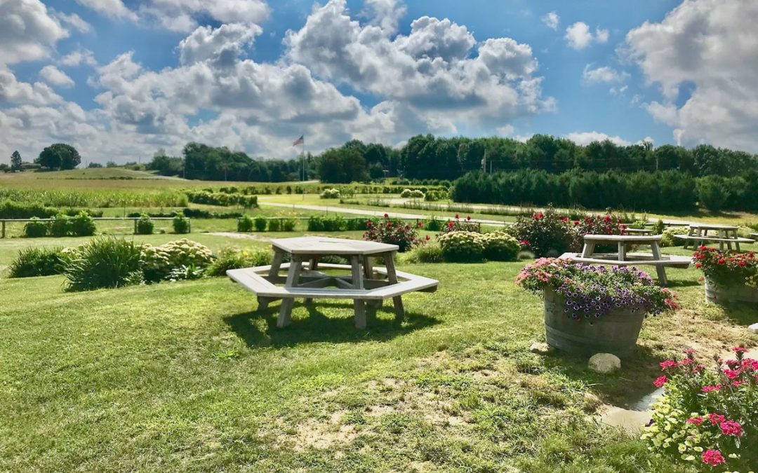 Moonrise Winery