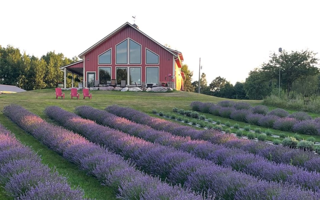 Peaceful Valley Farm